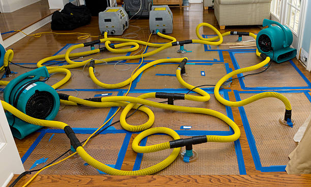 Professional Basement Flood Cleanup technician working in Hensonville, NY